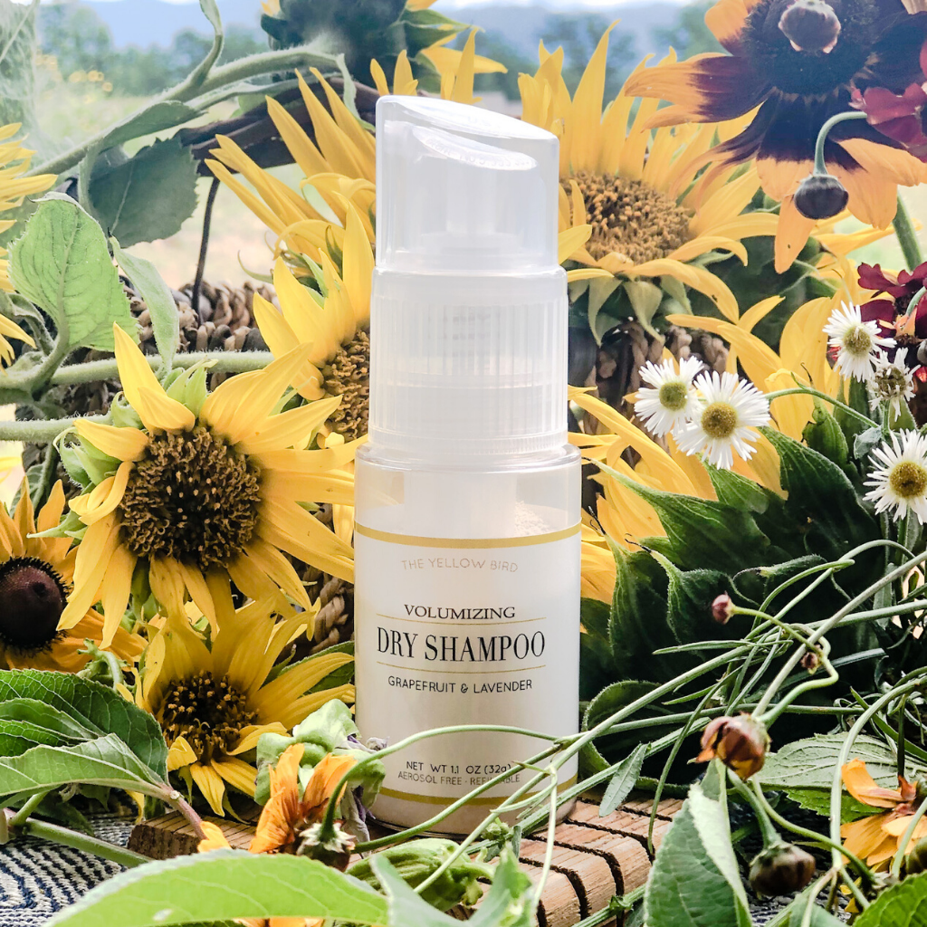 <iframe width="560" height="315" src="https://www.youtube.com/embed/cpvW-ofipYg" frameborder="0" allow="accelerometer; autoplay; encrypted-media; gyroscope; picture-in-picture" allowfullscreen></iframe>